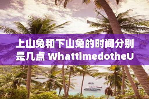 上山兔和下山兔的时间分别是几点 WhattimedotheUpHillHareandDownHillHarerespectivelyarrive