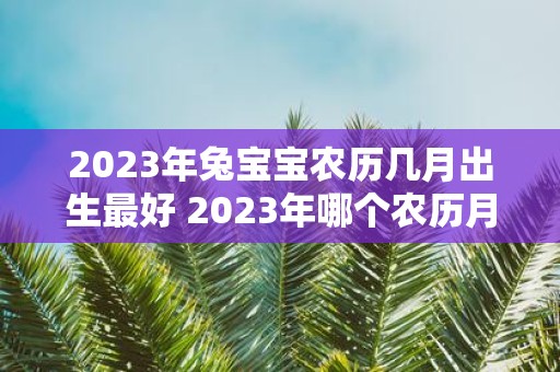 2023年兔宝宝农历几月出生最好 2023年哪个农历月份出生的兔宝宝最适合