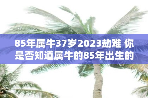 85年属牛37岁2023劫难 你是否知道属牛的85年出生的人在2023年将面临劫难而他们将年满37岁你是否为他们担心