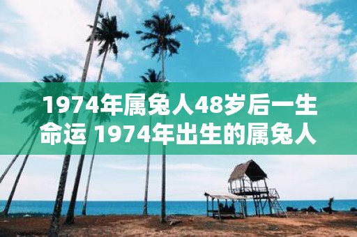 1974年属兔人48岁后一生命运 1974年出生的属兔人48岁后的命运会是什么样子