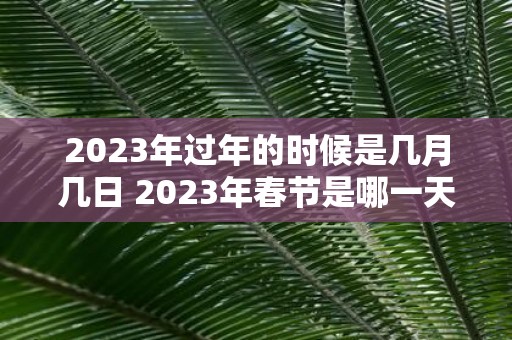 2023年过年的时候是几月几日 2023年春节是哪一天