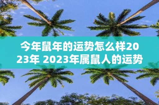 今年鼠年的运势怎么样2023年 2023年属鼠人的运势如何