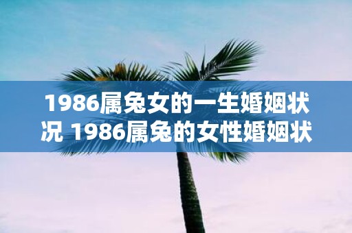 1986属兔女的一生婚姻状况 1986属兔的女性婚姻状况如何