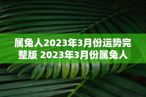 属兔人2023年3月份运势完整版 2023年3月份属兔人的运势如何