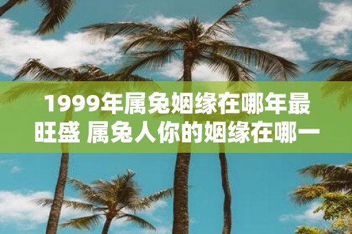 1999年属兔姻缘在哪年最旺盛 属兔人你的姻缘在哪一年最旺盛是1999年吗