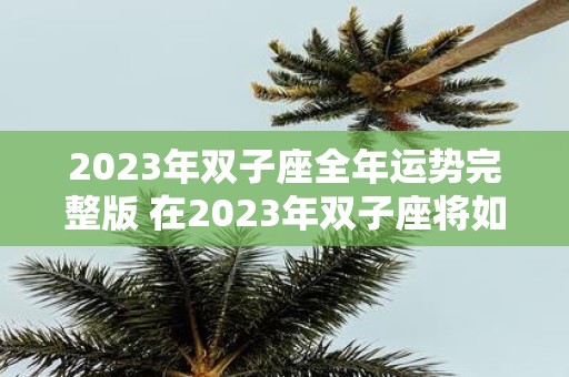 2023年双子座全年运势完整版 在2023年双子座将如何度过全年其运势如何