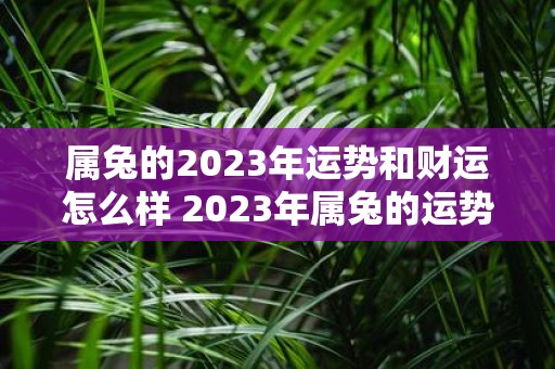 属兔的2023年运势和财运怎么样 2023年属兔的运势和财运会如何