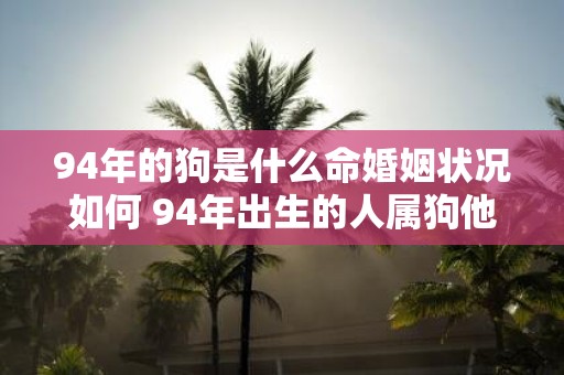 94年的狗是什么命婚姻状况如何 94年出生的人属狗他们的命运如何婚姻状况有什么不同