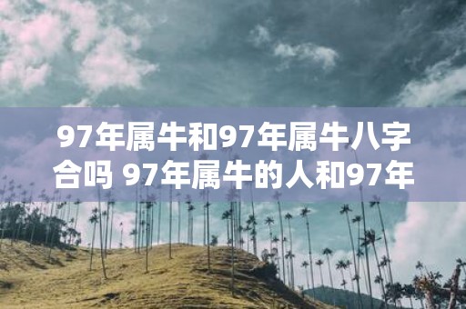 97年属牛和97年属牛八字合吗 97年属牛的人和97年属牛的人的八字是否合适