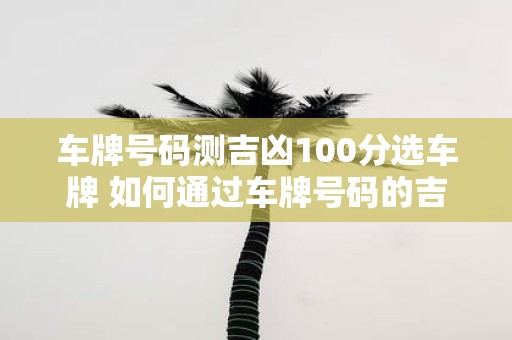 车牌号码测吉凶100分选车牌 如何通过车牌号码的吉凶测算来选择100分的幸运车牌