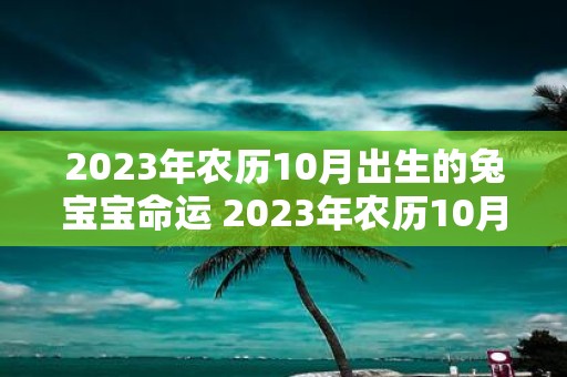 2023年农历10月出生的兔宝宝命运 2023年农历10月出生的兔宝宝的命运怎么样