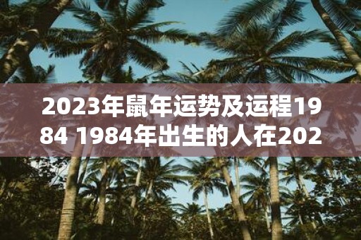 2023年鼠年运势及运程1984 1984年出生的人在2023年鼠年的运势和运程如何