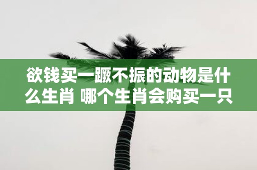 欲钱买一蹶不振的动物是什么生肖 哪个生肖会购买一只一蹶不振的动物以求财