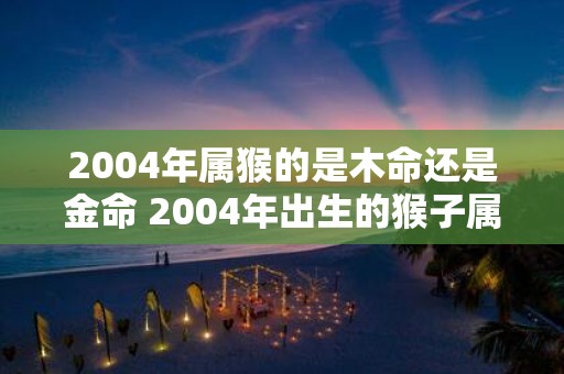 2004年属猴的是木命还是金命 2004年出生的猴子属于木命还是金命