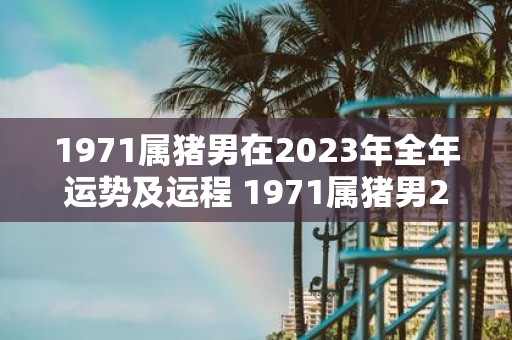 1971属猪男在2023年全年运势及运程 1971属猪男2023年全年运势如何运程如何