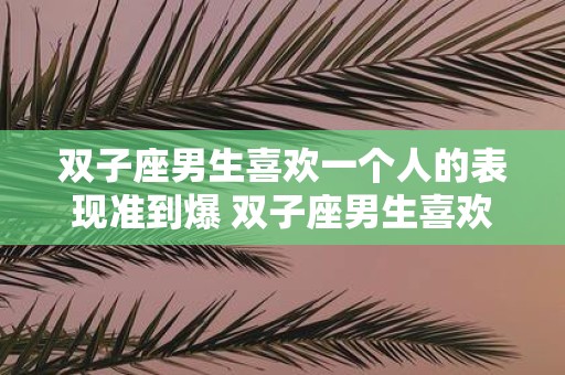 双子座男生喜欢一个人的表现准到爆 双子座男生喜欢一个人的表现是否像预测一样准确