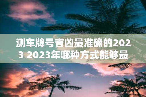 测车牌号吉凶最准确的2023 2023年哪种方式能够最准确地测算车牌号的吉凶