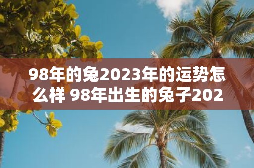 98年的兔2023年的运势怎么样 98年出生的兔子2023年的运程如何