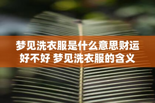 梦见洗衣服是什么意思财运好不好 梦见洗衣服的含义是什么这表示财运好吗