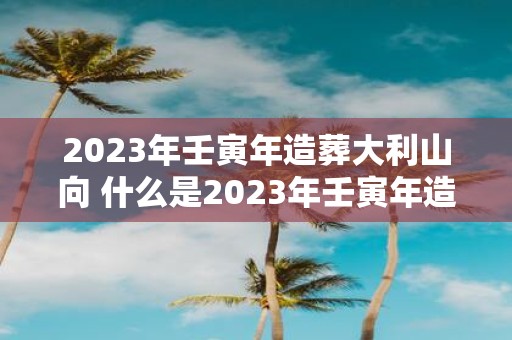 2023年壬寅年造葬大利山向 什么是2023年壬寅年造葬大利山向