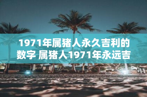 1971年属猪人永久吉利的数字 属猪人1971年永远吉利的数字是多少