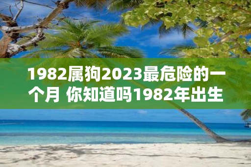 1982属狗2023最危险的一个月 你知道吗1982年出生的属狗人到2023年将面临最危险的一个月