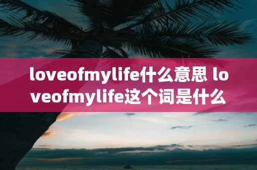 loveofmylife什么意思 loveofmylife这个词是什么意思