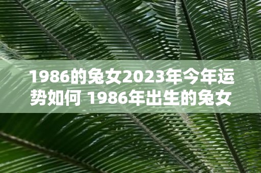 1986的兔女2023年今年运势如何 1986年出生的兔女2023年的运势如何