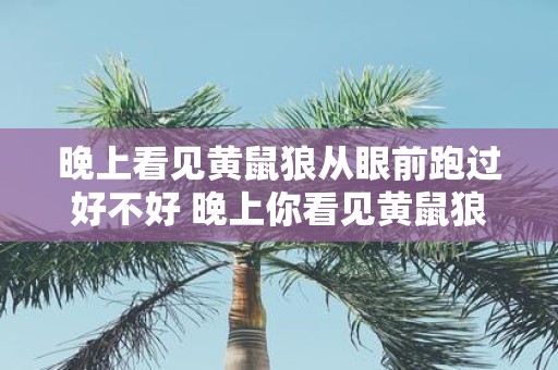 晚上看见黄鼠狼从眼前跑过好不好 晚上你看见黄鼠狼从眼前跑过了吗