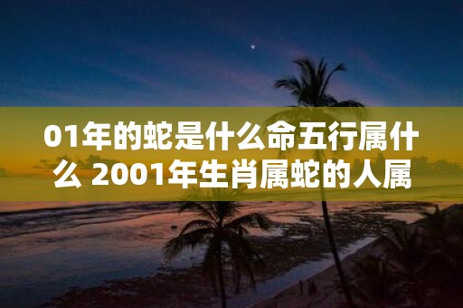 01年的蛇是什么命五行属什么 2001年生肖属蛇的人属于哪种命格五行属性又是什么