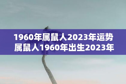 1960年属鼠人2023年运势 属鼠人1960年出生2023年运势如何