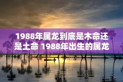 1988年属龙到底是木命还是土命 1988年出生的属龙人是属于木命还是土命