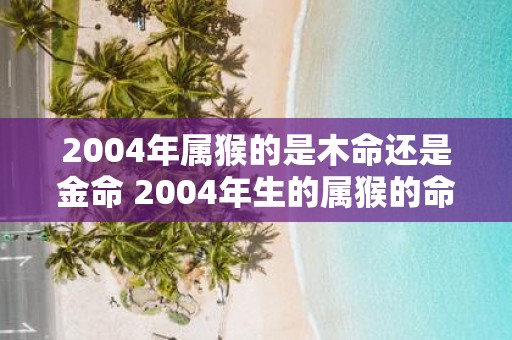 2004年属猴的是木命还是金命 2004年生的属猴的命格是木命还是金命