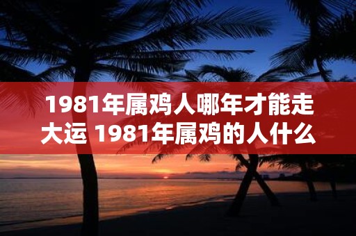 1981年属鸡人哪年才能走大运 1981年属鸡的人什么时候才能迎来好运