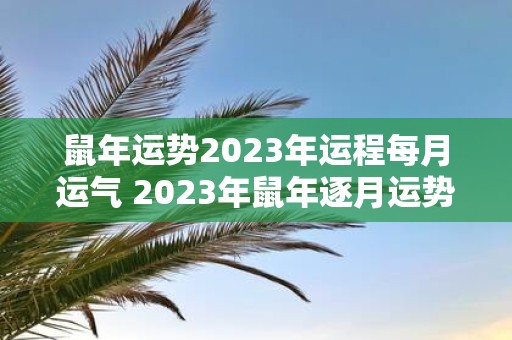 鼠年运势2023年运程每月运气 2023年鼠年逐月运势如何