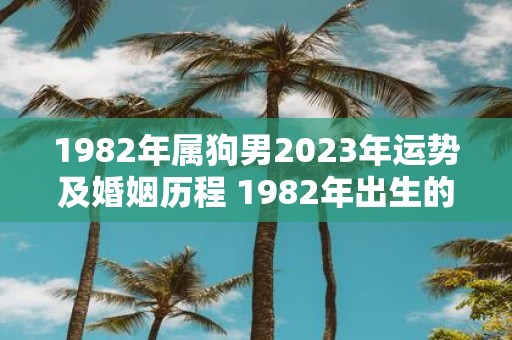 1982年属狗男2023年运势及婚姻历程 1982年出生的属狗男子在2023年的运势如何婚姻历程如何