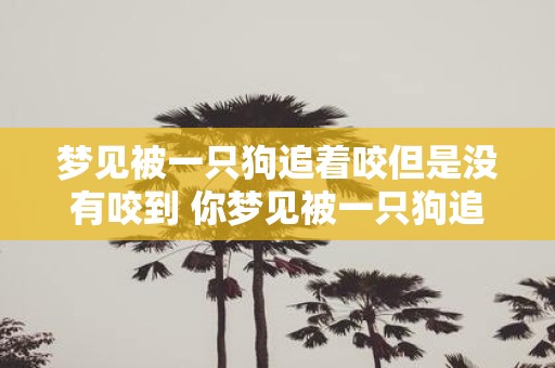 梦见被一只狗追着咬但是没有咬到 你梦见被一只狗追着咬却没有咬到是否意味着什么