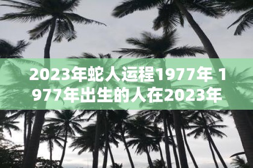 2023年蛇人运程1977年 1977年出生的人在2023年的运势如何