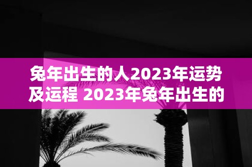 兔年出生的人2023年运势及运程 2023年兔年出生的人的运势和运程如何