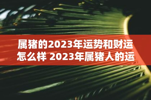 属猪的2023年运势和财运怎么样 2023年属猪人的运势和财运表现如何