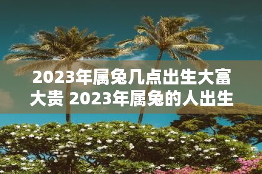 2023年属兔几点出生大富大贵 2023年属兔的人出生时间点是否与大富大贵有关