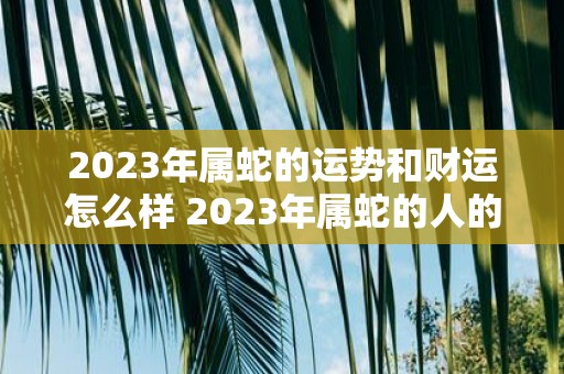 2023年属蛇的运势和财运怎么样 2023年属蛇的人的运势和财运会如何