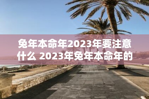 兔年本命年2023年要注意什么 2023年兔年本命年的人需要注意哪些事项