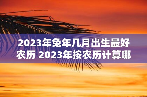 2023年兔年几月出生最好农历 2023年按农历计算哪个月出生最幸运