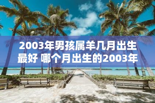 2003年男孩属羊几月出生最好 哪个月出生的2003年属羊男孩最好