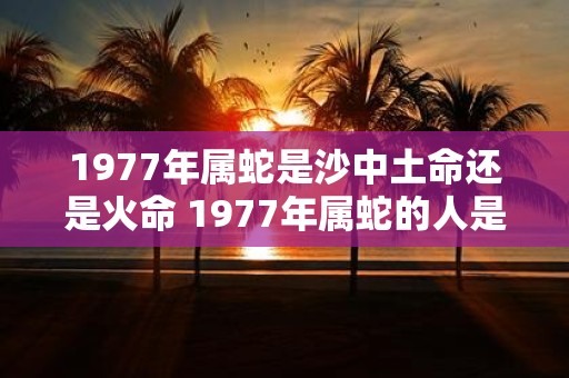 1977年属蛇是沙中土命还是火命 1977年属蛇的人是属于沙中土命还是火命呢