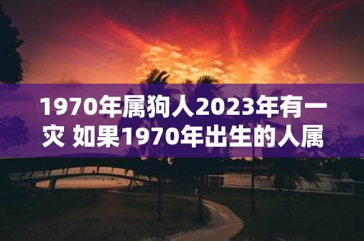 1970年属狗人2023年有一灾 如果1970年出生的人属狗那么在2023年是否会遭遇灾难