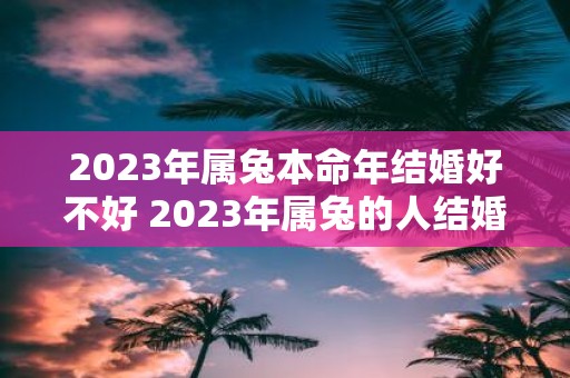 2023年属兔本命年结婚好不好 2023年属兔的人结婚吉不吉利