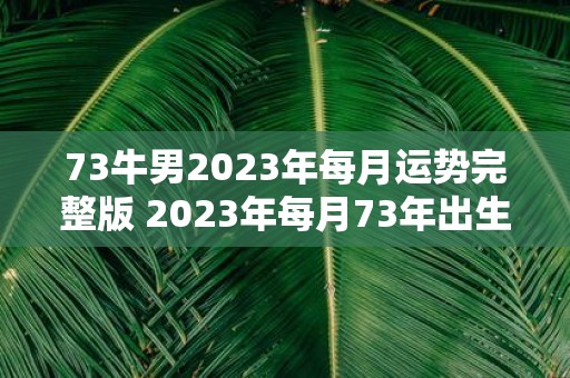 73牛男2023年每月运势完整版 2023年每月73年出生的牛男的运势如何