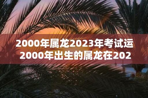 2000年属龙2023年考试运 2000年出生的属龙在2023年的考试运如何